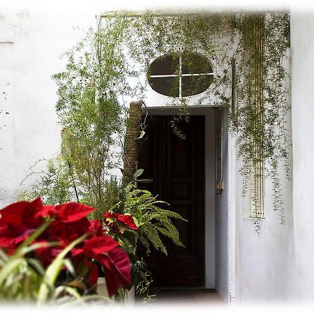 Florence Rental Luaran gambar